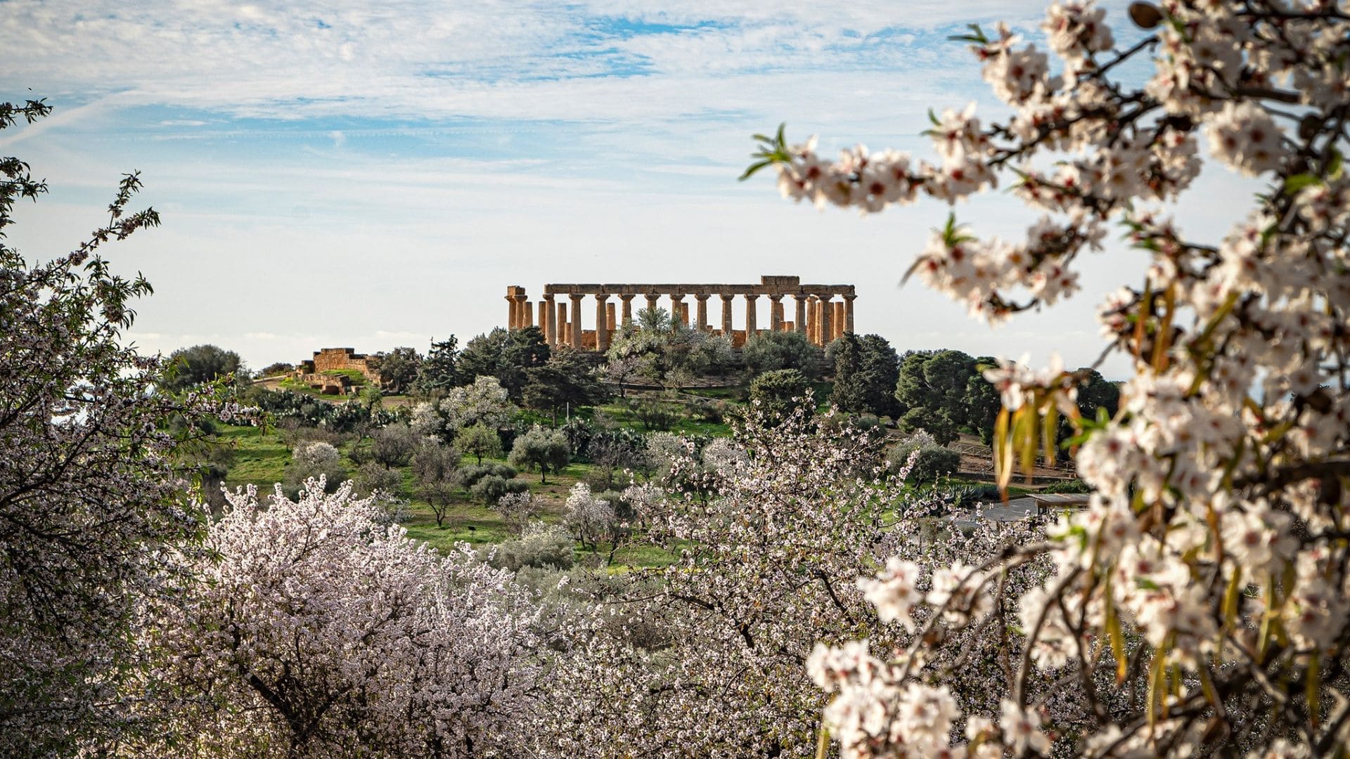 Valle dei Templi di Agrigento con mandorli in fiore